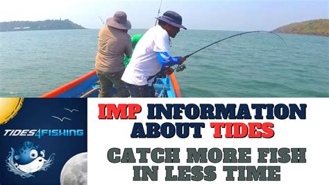 tides for fishing|Best Tide to Fish – The Complete Guide to Fishing Tides.